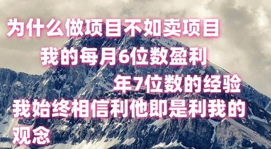 做项目不如卖项目，每月6位数盈利，年7位数经验-小哈资源