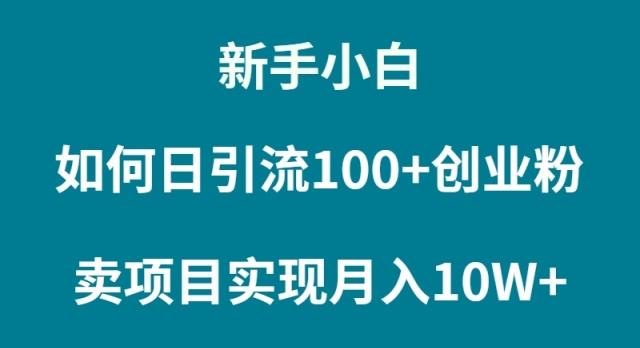 (9556期)新手小白如何通过卖项目实现月入10W+-小哈资源