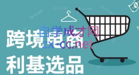 阿甘·2024年跨境电商选品案例-小哈资源