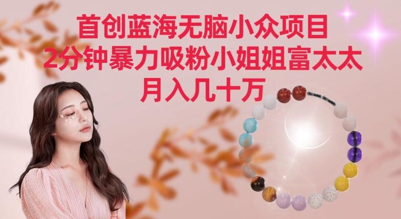 首创蓝海无脑小众项目，2分钟暴力吸粉小姐姐富太太，月入几十万【揭秘】-小哈资源