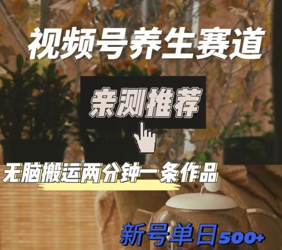 视频号养生赛道暴力掘金，无脑搬运，两分钟一条作品-新日单入500+-小哈资源