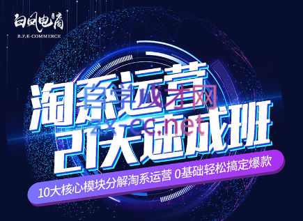 淘系运营21天速成班(更新24年6月)-小哈资源