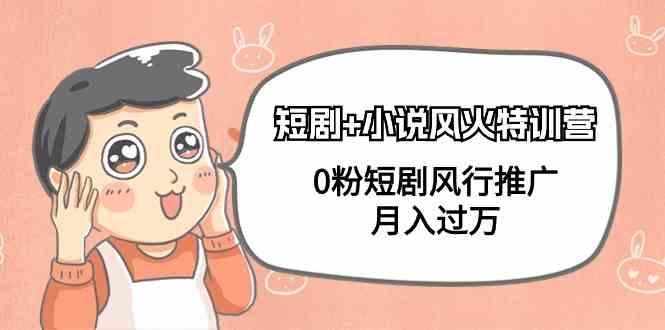 小说+短剧风火特训营，0粉短剧小说风行推广，实现月入过万-小哈资源